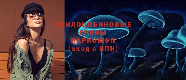 индика Богданович