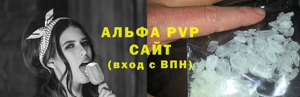 индика Богданович